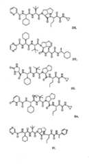 Figure G2009101493490D00951