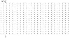 Figure BDA0001176235000000372