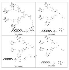 Figure 106103567-A0304-12-0268-258