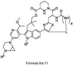 Figure imgf000096_0001
