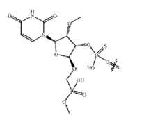 Figure imgf000306_0001