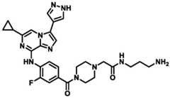 Figure BDA0002964098100001181