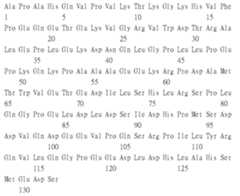 Figure 111115932-A0305-02-0021-9