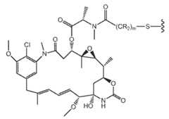 Figure imgf000031_0001