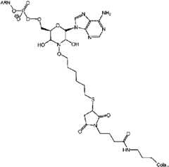 Figure imgf000118_0001