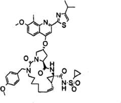 Figure BSA00000676350900861