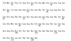 Figure TW201943729A_D0284