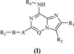 Figure FDA0000051855280000011