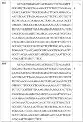 Figure BDA0001434941100000431