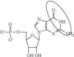 Figure US09271996-20160301-C00097