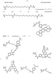 Figure imgf000114_0001
