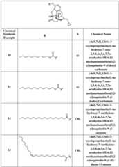 Figure imgf000021_0001