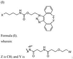Figure imgf000003_0001
