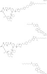 Figure US11364300-20220621-C00242