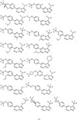 Figure imgf000015_0001