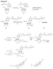 Figure imgf000216_0001