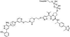 Figure BDA0004113777320001421