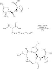 Figure US07829665-20101109-C00479
