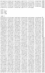 Figure IDA00002091897100061