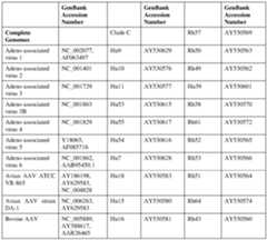Figure imgf000016_0001