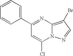 Figure US07119200-20061010-C00975