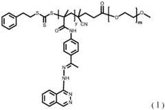 Figure FDA0004148353170000011