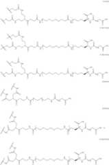 Figure US12329823-20250617-C00073