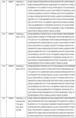 Figure imgf000133_0001