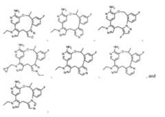 Figure imgf000043_0002
