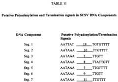Figure imgf000043_0001