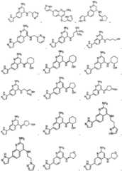 Figure FDA0004114850150000031