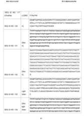 Figure imgf000092_0001