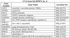 Figure imgf000059_0001