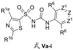 Figure BDA0002935257550002831