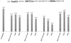 Figure P1020197005466