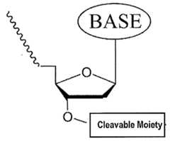 Figure imgf000336_0001