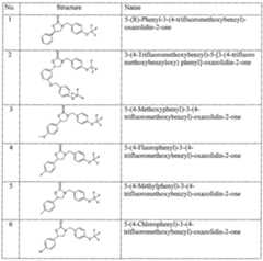 Figure imgf000016_0001