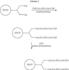 Figure US07214660-20070508-C00020