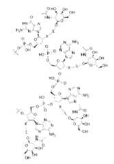 Figure 109145408-A0305-12-0076-10