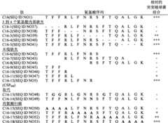 Figure G2007800328531D00251