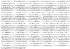 Figure BDA0003873639730000651