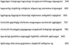 Figure IDA0003858538330000411