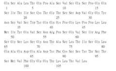 Figure 109115264-A0305-02-0211-23