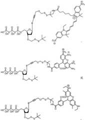 Figure BDA0003670511740002901