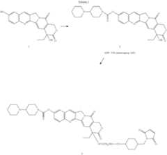 Figure US10280220-20190507-C00007