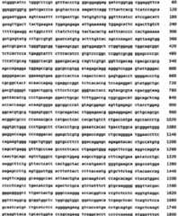 Figure A200780018196D00431