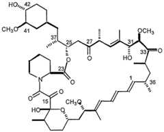Figure imgf000005_0001