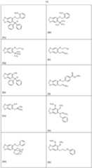 Figure imgf000012_0001