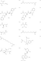 Figure US06593497-20030715-C00027