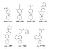 Figure 0007394591000060